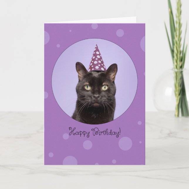 Cartes Pour Fêtes Annuelles Happy Birthday For Anyone Funny Cat in Party Hat (Devant)