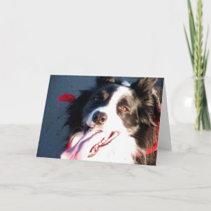 Cartes Pour Fêtes Annuelles Happy border Collie