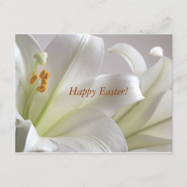 Cartes Pour Fêtes Annuelles Happy Easter (Devant)