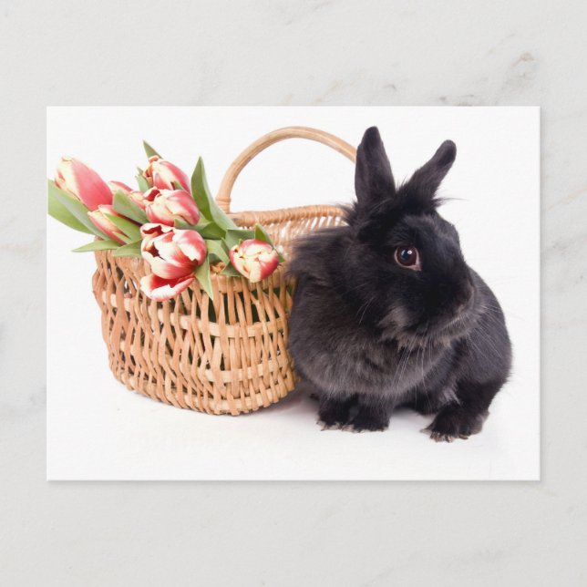 Cartes Pour Fêtes Annuelles Happy Easter (Devant)