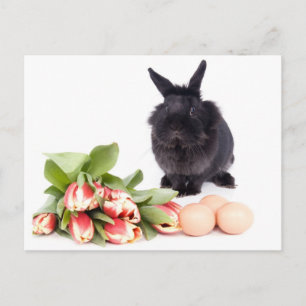 Cartes Pour Fêtes Annuelles Happy Easter