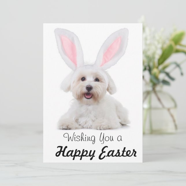 Cartes Pour Fêtes Annuelles Happy Easter Anyone Dog Bunny Flat Holiday Card (Debout devant)