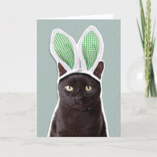 Cartes Pour Fêtes Annuelles Happy Easter For Anyone Funny Cat à Bunny Ears