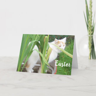 Cartes Pour Fêtes Annuelles HAPPY EASTER - HEUREUX PRINTEMPS à "VOUS"
