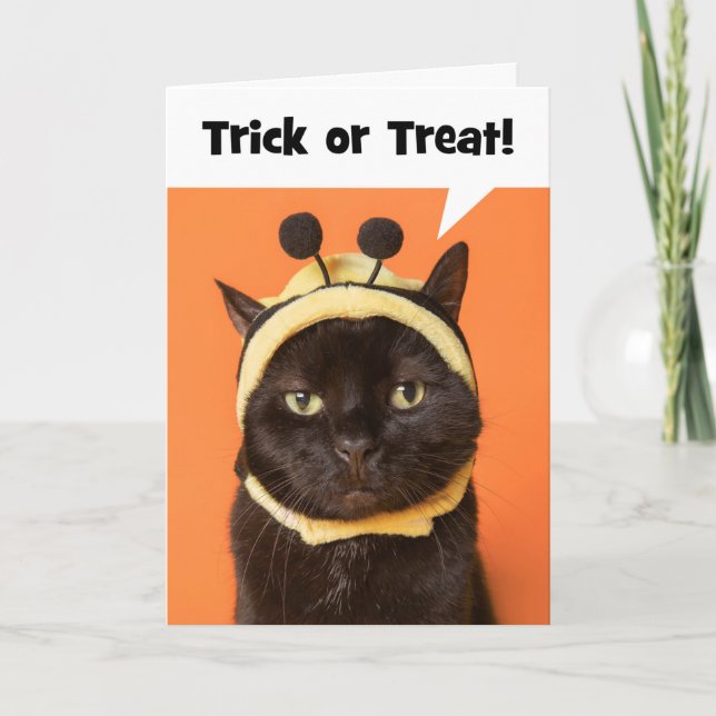 Cartes Pour Fêtes Annuelles Happy Halloween Cat in Bee Costume Humor  (Devant)