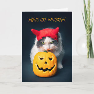 Cartes Pour Fêtes Annuelles Happy Halloween Chat en Costume Citrouille de reni