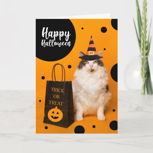 Cartes Pour Fêtes Annuelles Happy Halloween For Anyone Cute Cat in Witch Hat  (Devant)