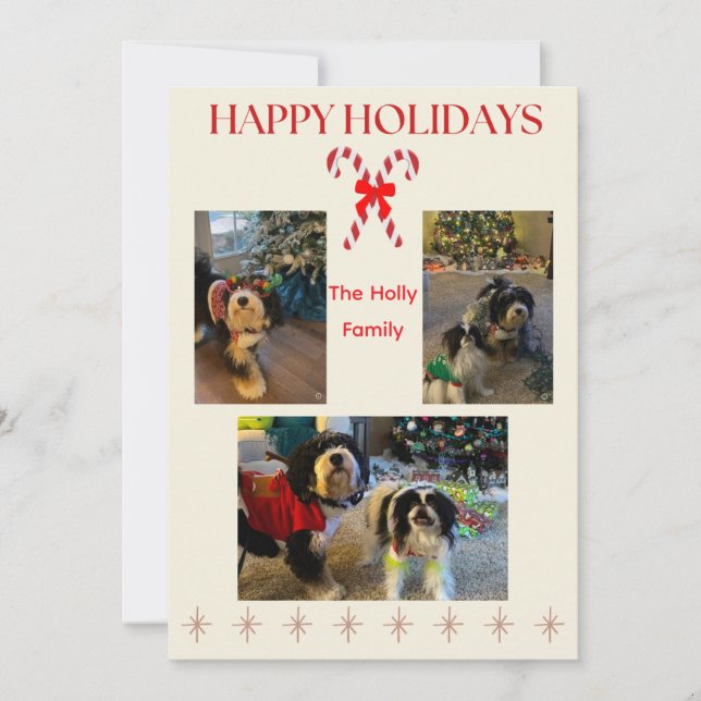 Cartes Pour Fêtes Annuelles Happy Holidays Candy Cane and Twinkle Card (Devant)