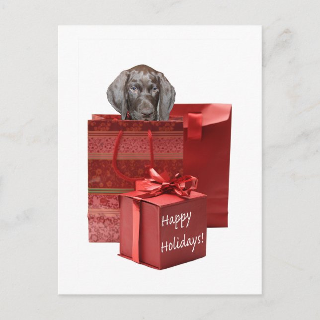 Cartes Pour Fêtes Annuelles Happy Holidays german shorthred pointer (Devant)