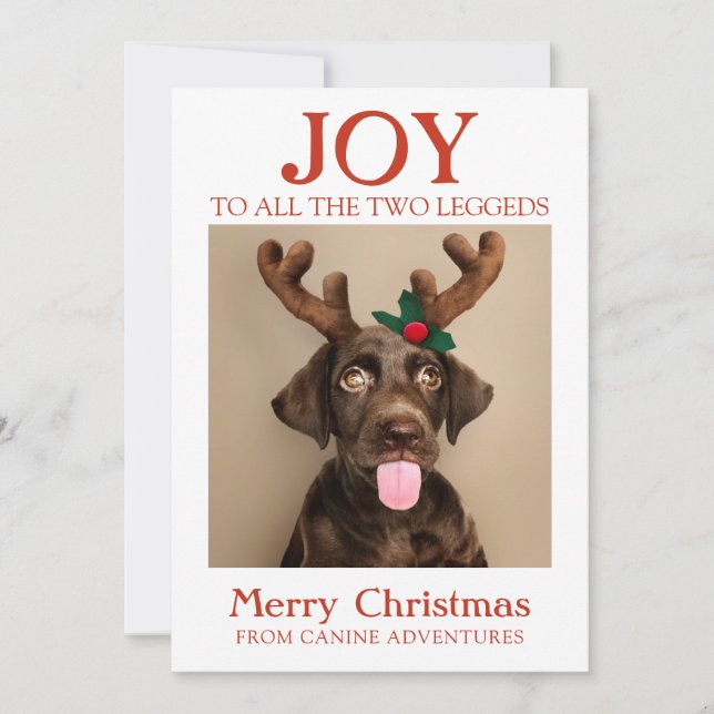 Cartes Pour Fêtes Annuelles Happy Holidays Photo Chien De Dog Walker (Devant)