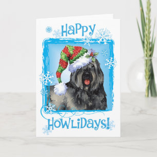Cartes Pour Fêtes Annuelles Happy Howliday Bouvier