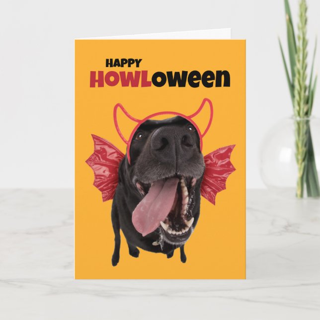 Cartes Pour Fêtes Annuelles Happy HOWLoween Chien drôle dans le costume d'Hall (Devant)