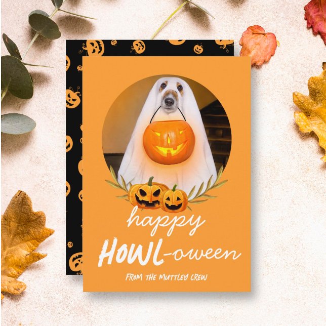 Cartes Pour Fêtes Annuelles Happy Howloween | Halloween Photo pour animaux de  (Créateur téléchargé)