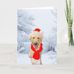 Cartes Pour Fêtes Annuelles Happy Lab Père Noël White Christmas
