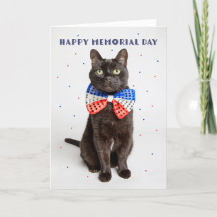 Cartes Pour Fêtes Annuelles Happy Memorial Day Cute Patriotic Chat dans la Cra