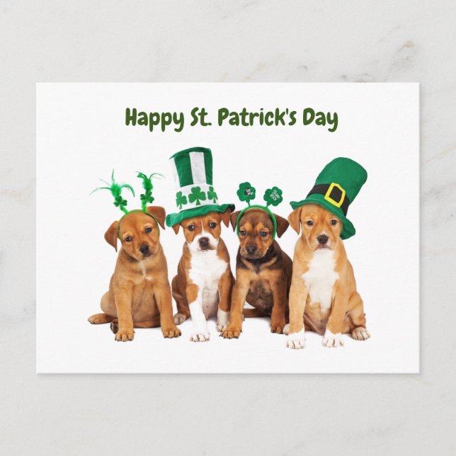 Cartes Pour Fêtes Annuelles Happy St. Patrick's Day dogs (Devant)