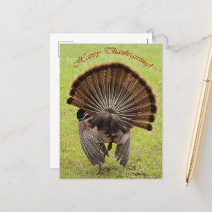 Cartes Pour Fêtes Annuelles Happy Thanksgiving