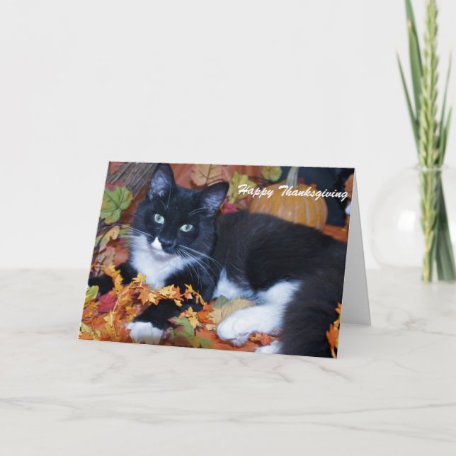 Cartes Pour Fêtes Annuelles Happy Thanksgiving (Devant)