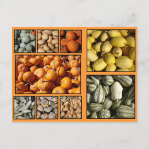 Cartes Pour Fêtes Annuelles Happy Thanksgiving