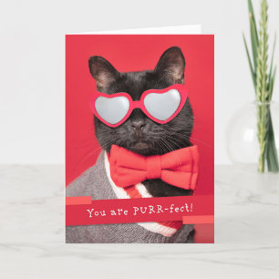 Cartes Pour Fêtes Annuelles Happy Valeneitne's Day Cute Chat dans les lunettes