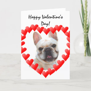 Cartes Pour Fêtes Annuelles Happy Valentine's Day French Bulldog greeting card