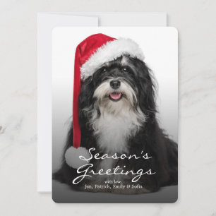 Cartes Pour Fêtes Annuelles Havanese Dog With Santa Hat