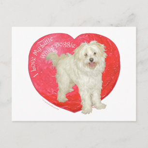 Cartes Pour Fêtes Annuelles Havanese / Westie Mix Saint-Valentin