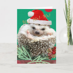 Cartes Pour Fêtes Annuelles Hedgehog !