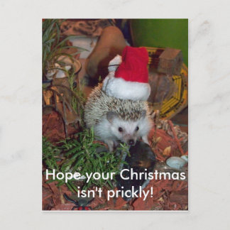 Cartes Pour Fêtes Annuelles Hedgie le hérisson vous souhaite un Joyeux Noël