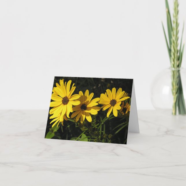 Cartes Pour Fêtes Annuelles Helianthus salicifolius (tournesol à feuilles de s (Devant)