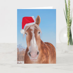 Cartes Pour Fêtes Annuelles Helper belge père Noël
