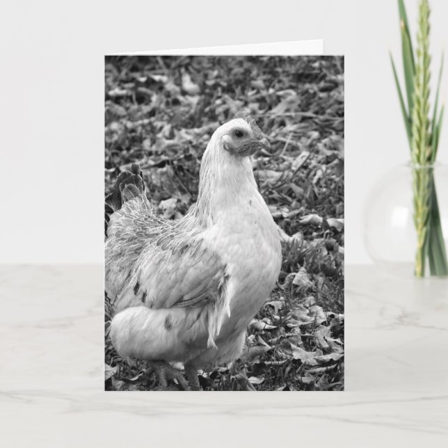 Cartes Pour Fêtes Annuelles Hen noir et blanc, Pâques (Devant)