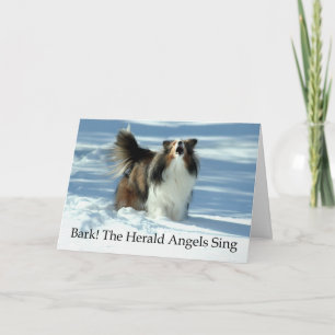 Cartes Pour Fêtes Annuelles Herald Sheltie