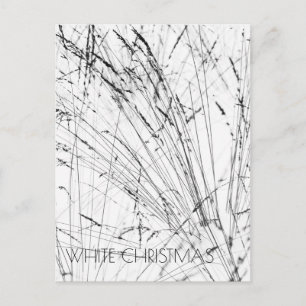 Cartes Pour Fêtes Annuelles Herbe En Plumes Dans La Neige Verticale