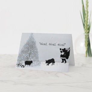 Cartes Pour Fêtes Annuelles "Herd, Herd, Herd"~Bordure Collie Noël