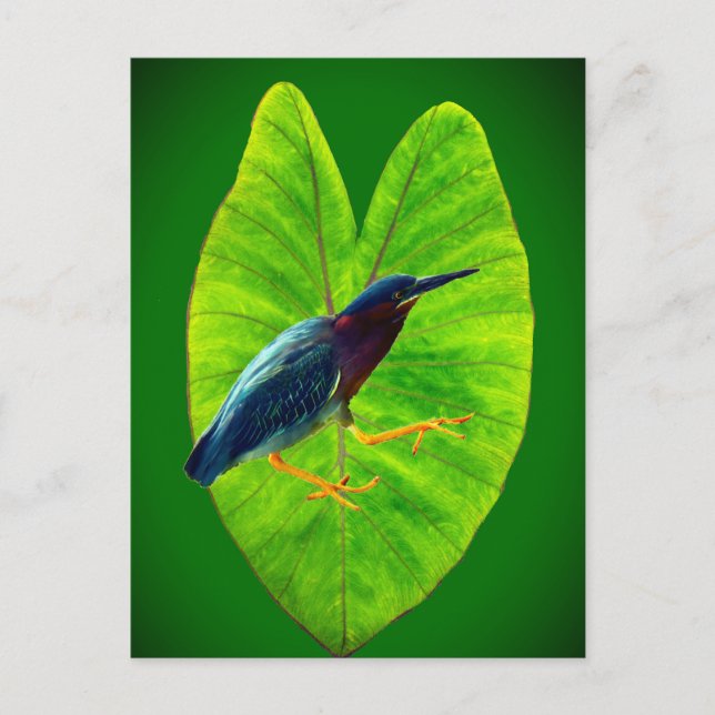 Cartes Pour Fêtes Annuelles Héron vert (Devant)