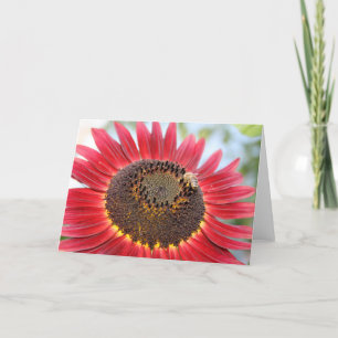 Cartes Pour Fêtes Annuelles Heure du dîner