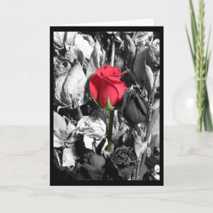 Cartes Pour Fêtes Annuelles Heureuse Sainte-Valentin