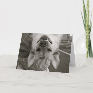 Cartes Pour Fêtes Annuelles Heureuse Sainte-Valentin