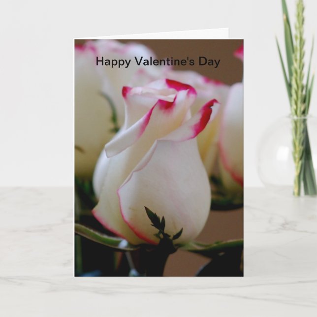 Cartes Pour Fêtes Annuelles Heureuse Sainte-Valentin (Devant)