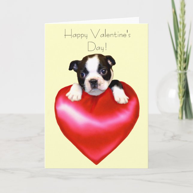 Cartes Pour Fêtes Annuelles Heureuse Sainte-Valentin Boston Terrier Card (Devant)