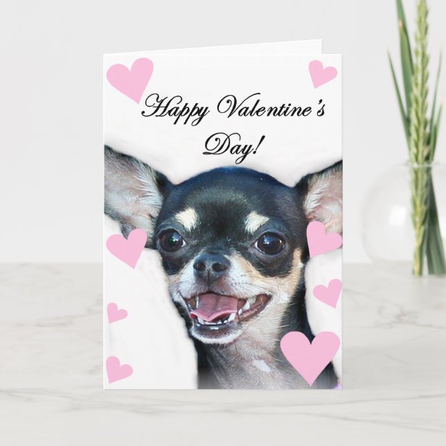 Cartes Pour Fêtes Annuelles Heureuse Sainte-Valentin Chihuahua (Devant)