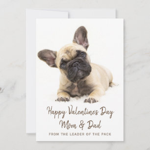 Cartes Pour Fêtes Annuelles Heureuse Sainte-Valentin Custom French Bulldog Pho