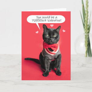 Cartes Pour Fêtes Annuelles Heureuse Sainte-Valentin Cute Chat habillé Humour