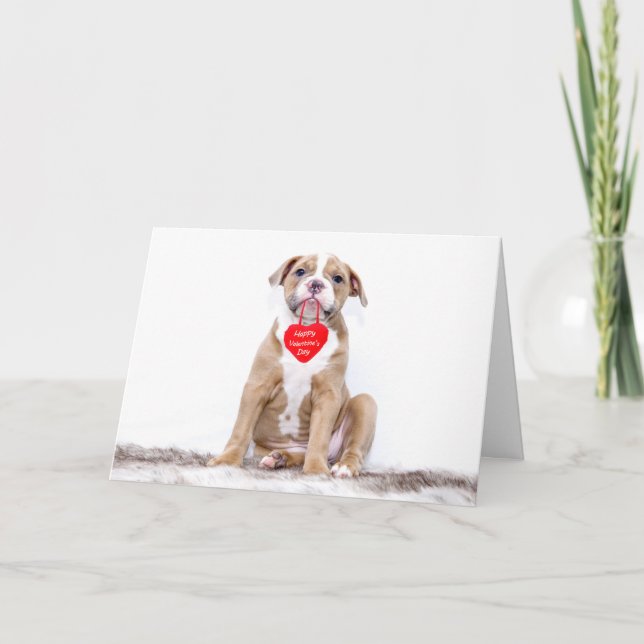 Cartes Pour Fêtes Annuelles Heureuse Sainte-Valentin de chiot de Bulldog migno (Devant)