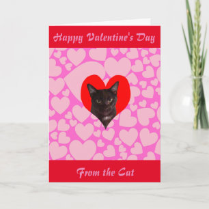 Cartes Pour Fêtes Annuelles Heureuse Sainte-Valentin du chat (chat noir)