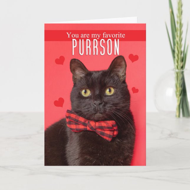 Cartes Pour Fêtes Annuelles Heureuse Sainte-Valentin Favori PURRson Cute Cat (Devant)