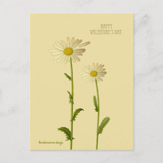 Cartes Pour Fêtes Annuelles Heureuse Sainte-Valentin - Fleur marguerite (Devant)