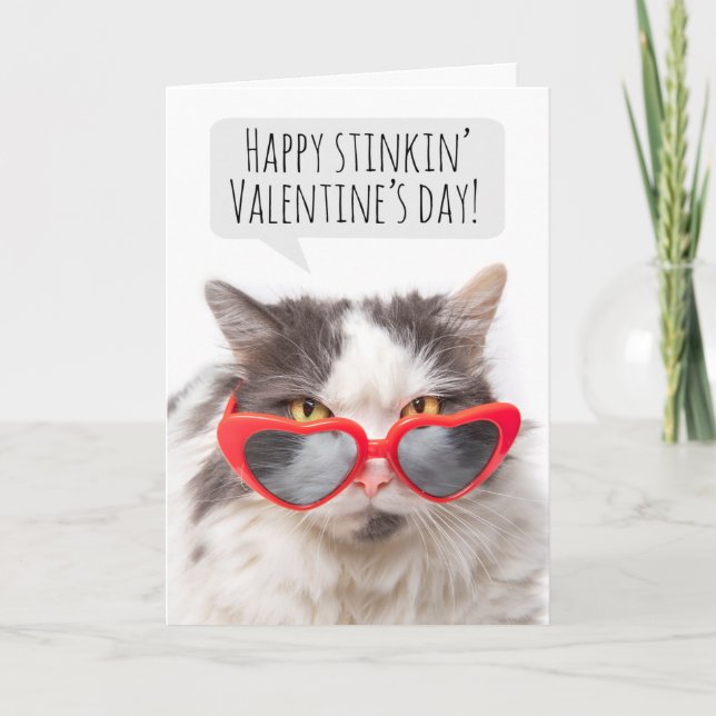 Cartes Pour Fêtes Annuelles Heureuse Sainte-Valentin Funny Sarcastic Chat (Devant)