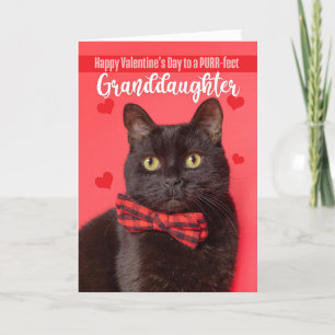 Cartes Pour Fêtes Annuelles Heureuse Sainte-Valentin Grandgirl Cute Cat